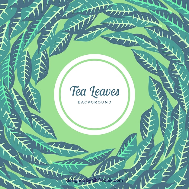Tea leaves background with vegetation