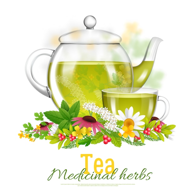 Free Vector | Teapot and tea cup medicinal herbs illustration