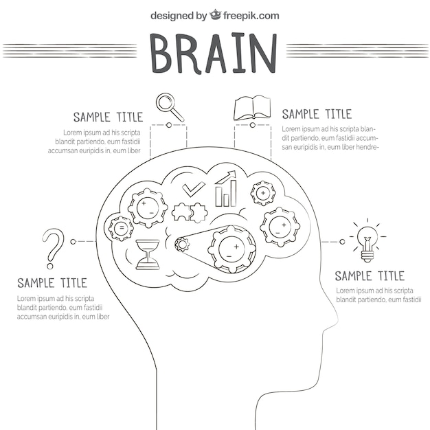 Premium Vector Template Of Human Brain Infographic With Icons 8785
