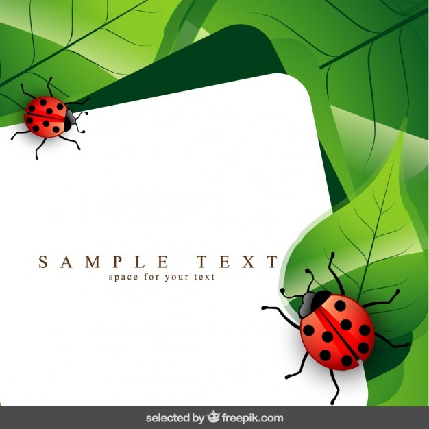 Download Template with ladybug and leaves | Free Vector