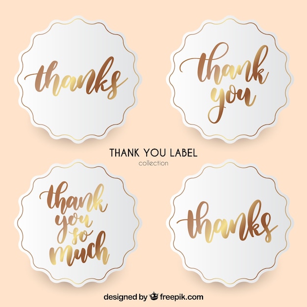 Thank you label collection Vector | Free Download