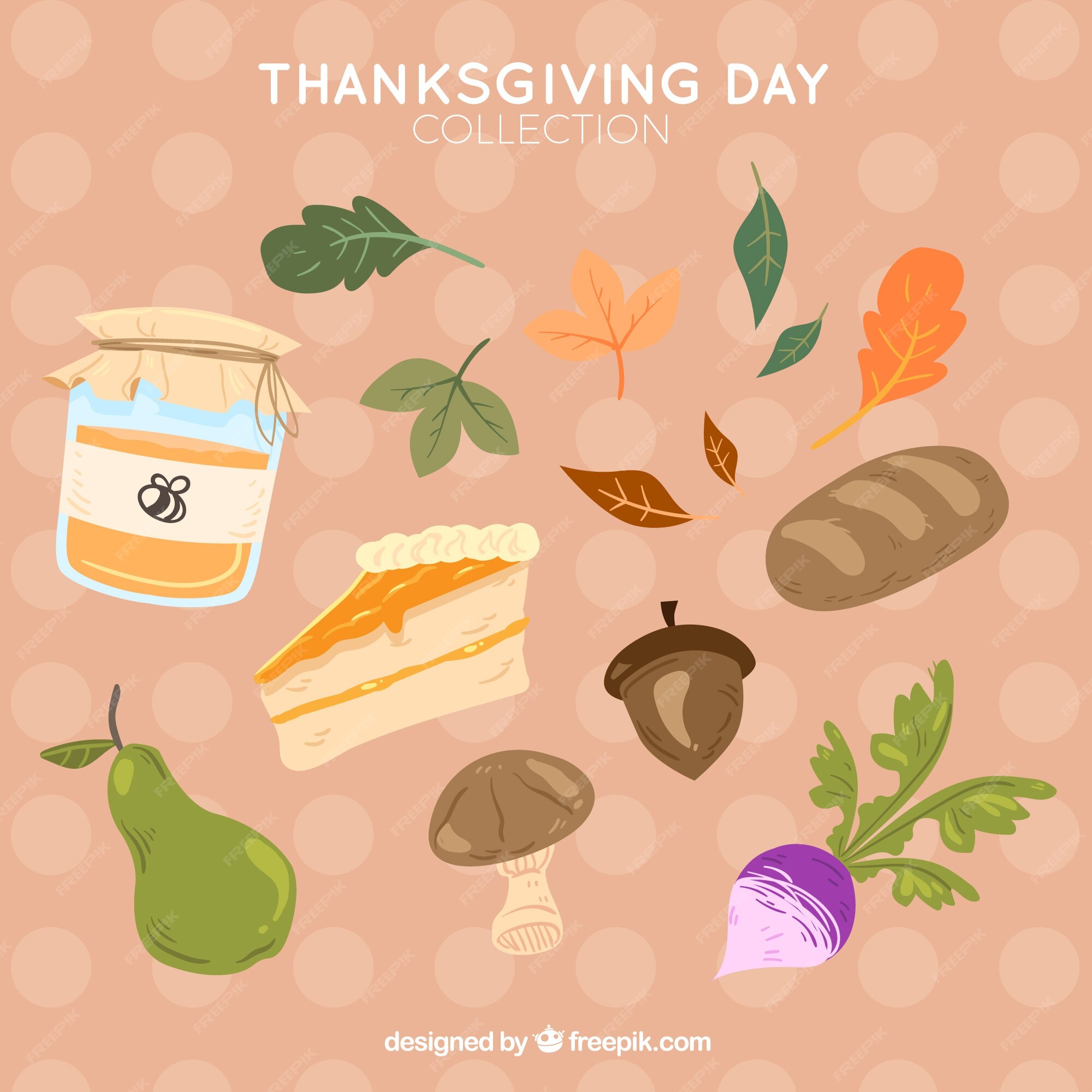 Free Vector Thanksgiving Natural Elements Set