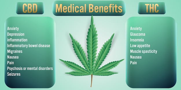 Premium Vector | Thc Cannabis Medical Benefits