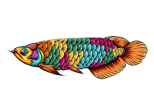 体に美しい色をしたアロワナ魚のゼンタングルのイラスト プレミアムベクター