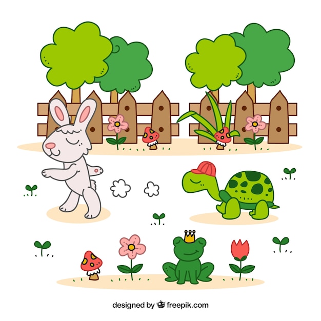 Hare And The Tortoise Story Free Download