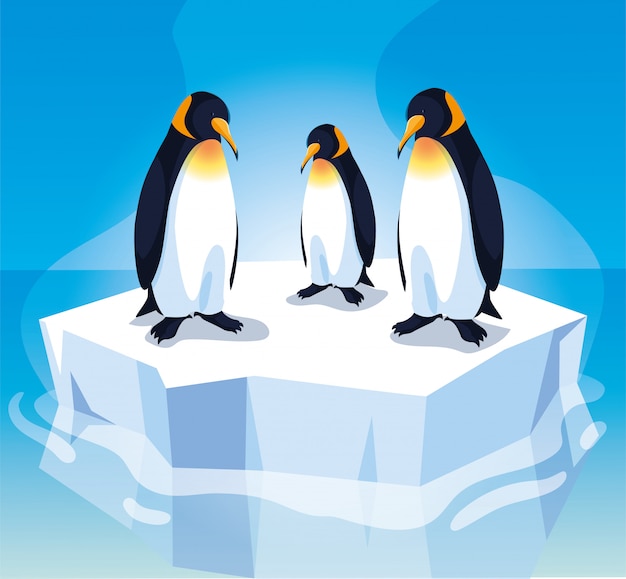 Premium Vector | Three penguin on an ice floe drifting