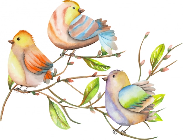 木の枝 春のイラストに3つの水彩鳥 プレミアムベクター