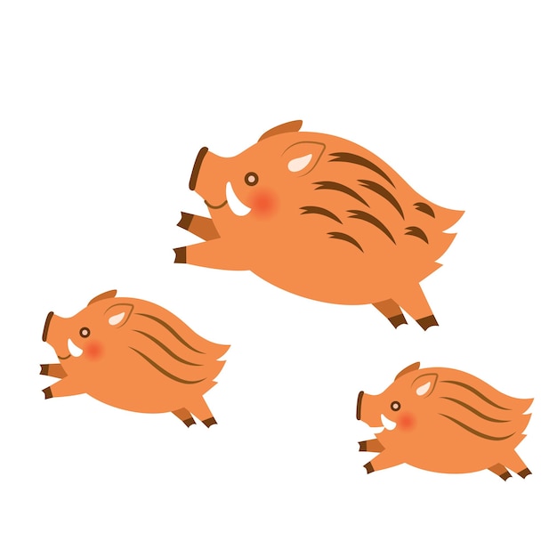 Premium Vector | Three wild boars design elements on white background