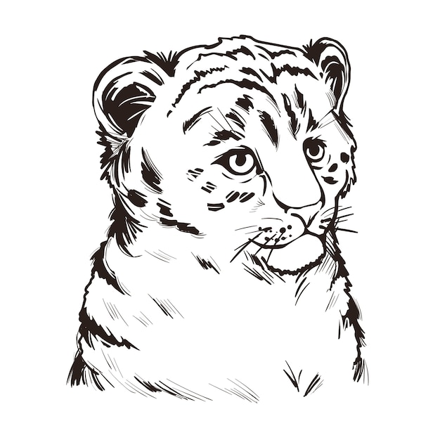 タイガーライオンの赤ちゃん エキゾチックな動物の肖像画は スケッチを分離しました 手描きイラスト プレミアムベクター