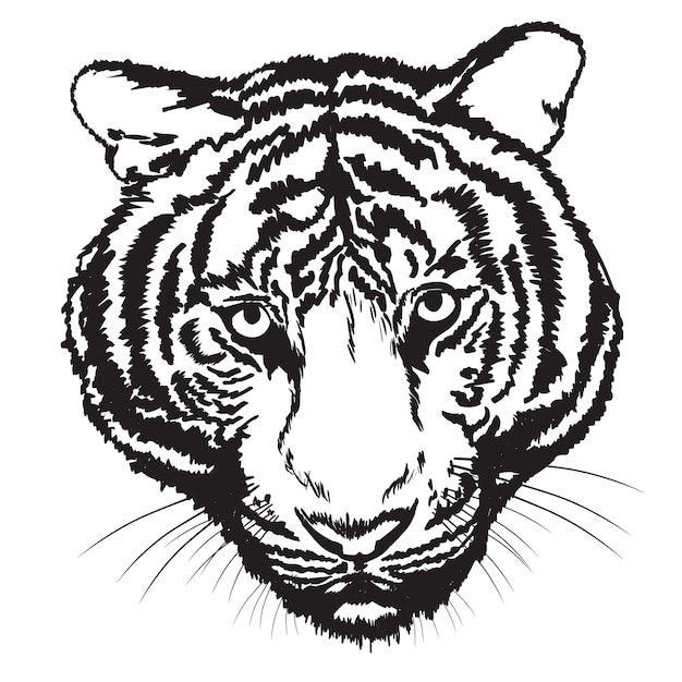 Tiger sketch free hand with digital brush Premium Vector