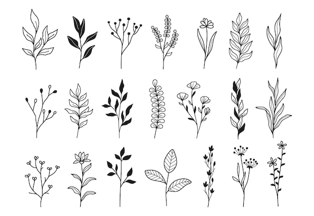 Premium Vector | Tiny plants and flowers, set of cute linear hand drawn ...