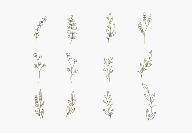 小さなシンプルな植物のイラスト ラインアートワーク 最小限のデザイン要素 エレガントで繊細な植物の落書き プレミアムベクター