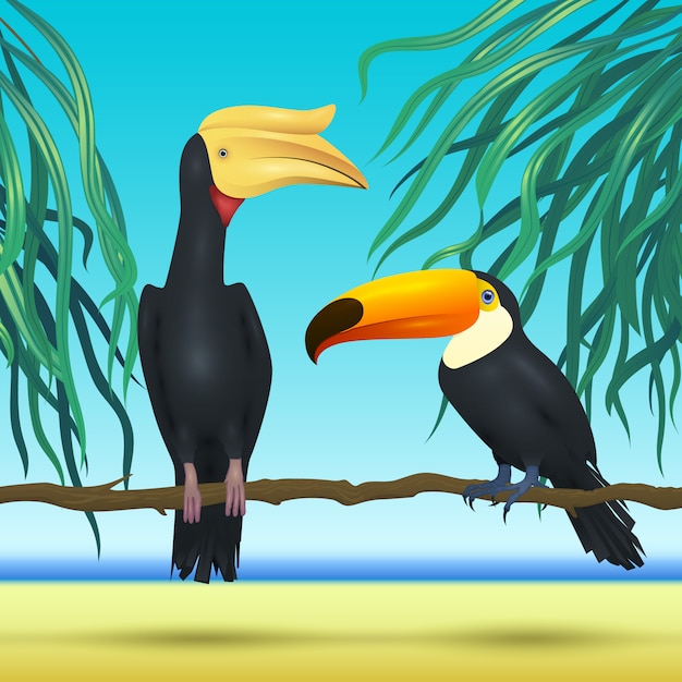 オニオオハシとrhinoceroc ビル ビーチの海と熱帯の枝を背景に座っている現実的な鳥 プレミアムベクター