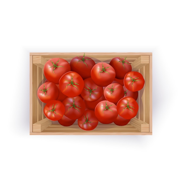 Premium Vector | Tomatoes in wooden crate