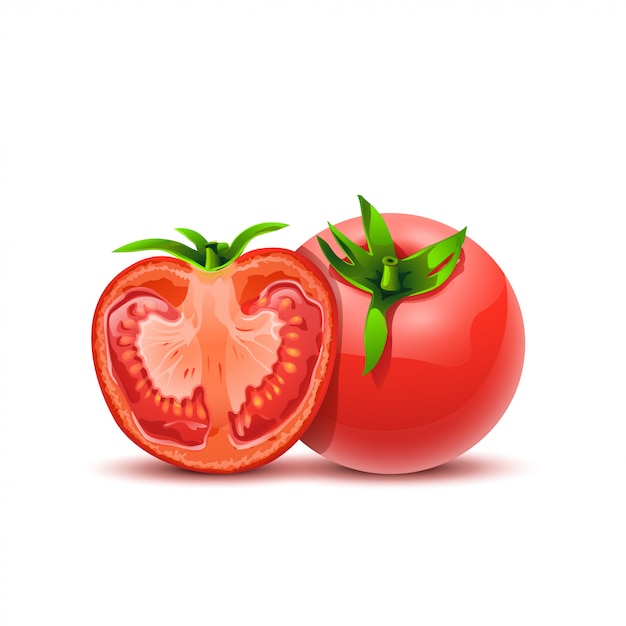 Premium Vector | Tomatos