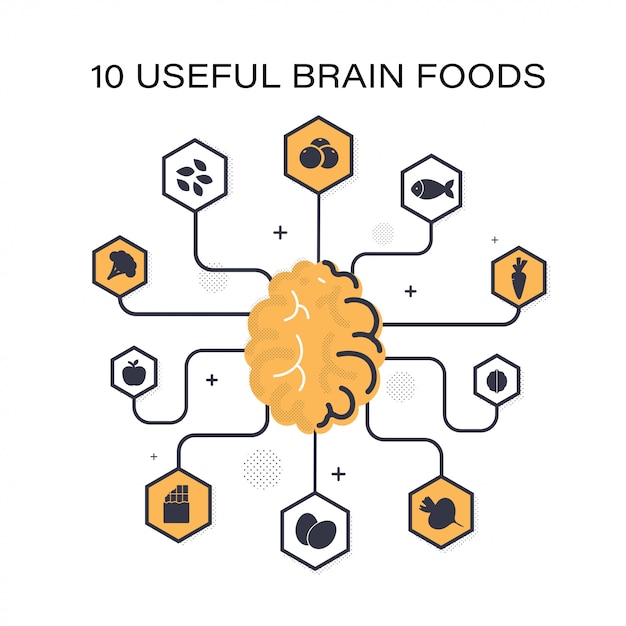 Top useful products for the brain: berries, fish, carrots, walnut, beets, eggs, chocolate, apple, broccoli, seeds. Premium Vector
