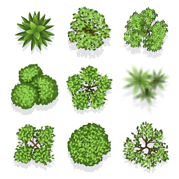 さまざまな植物や樹木を上から見ることができます 建築や風景のデザインのための木のベクトルセット イルル プレミアムベクター