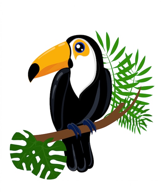 オオハシ鳥の漫画のキャラクター 白のかわいいオオハシ 南アメリカの動物 モルモットのアイコン 動物園の広告 性質の概念 絵本の野生動物のイラスト プレミアムベクター