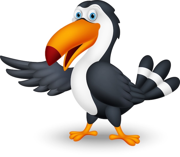 Premium Vector | Toucan bird cartoon presenting