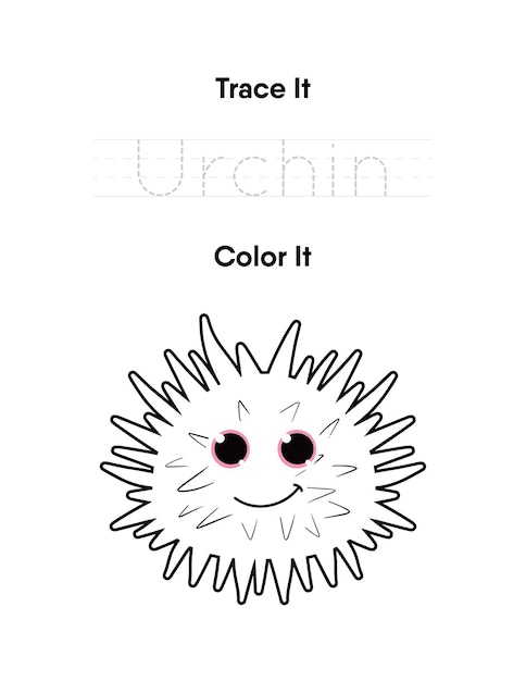 Premium Vector | Trace the word and color the cute urchin handwriting