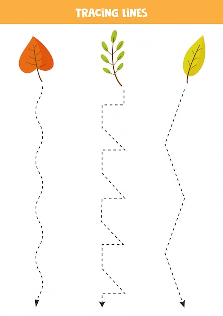 Premium Vector | Tracing lines with cartoon autumn leaves. practice for ...