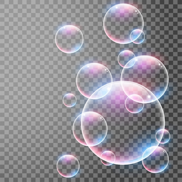 Transparent Realistic Bubbles With Reflections Vector Free Download