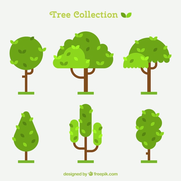 Free Vector Tree Collection In Flat Design