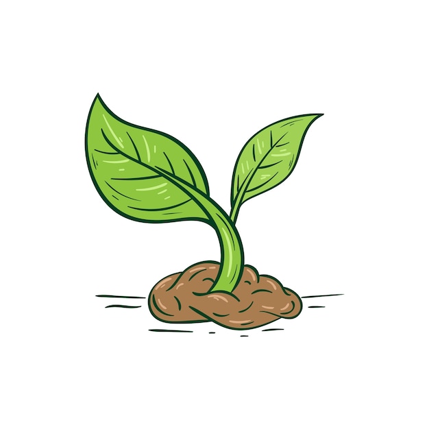 Premium Vector Tree Growth Illustration Draw Riset