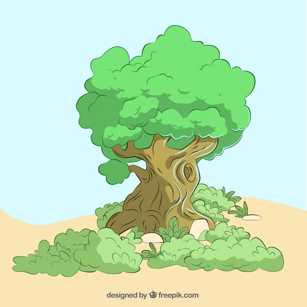 Free Vector Tree Illustration