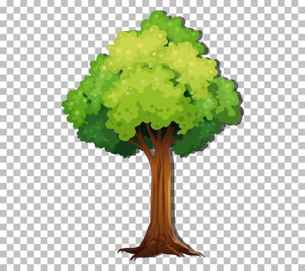 Free Vector | A tree isolated on transparent background