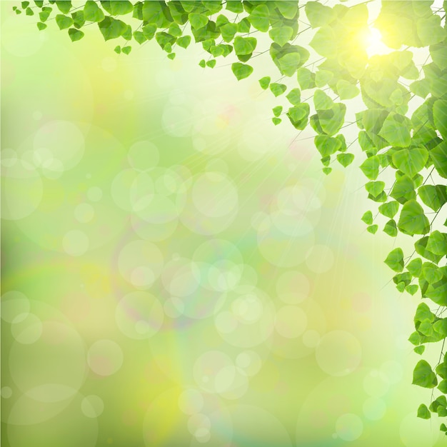 Premium Vector | Tree leaves on abstract green background