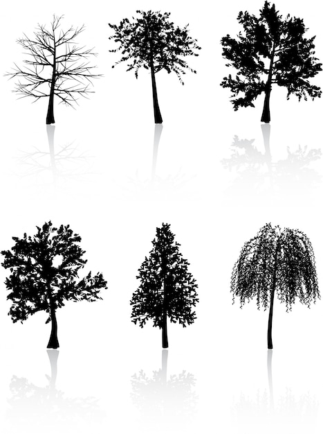 Download Tree silhouettes Vector | Free Download