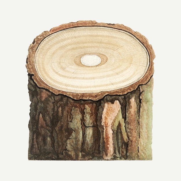 木の切り株 無料のベクター