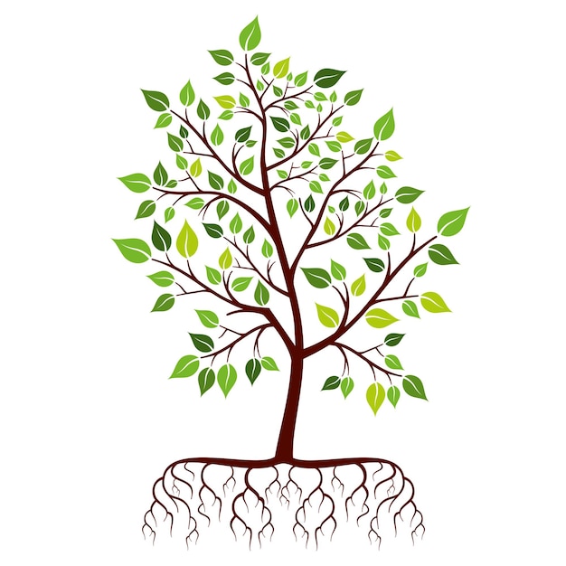 根と緑の葉を持つ木 無料のベクター