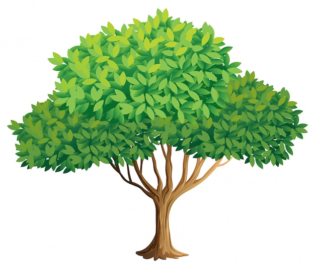vector tree illustration free download