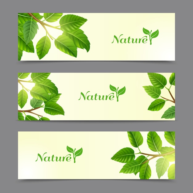 Trees branches with green leaves banner set Free Vector