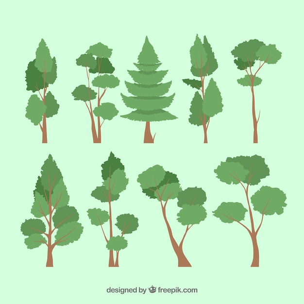 Free Vector | Trees collection in 2d style