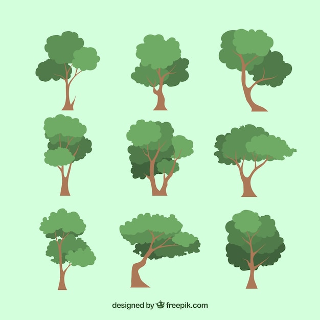 Free Vector | Trees collection in 2d style