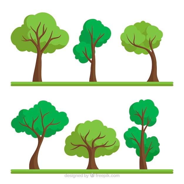 Tree Images Free Vectors Stock Photos Psd