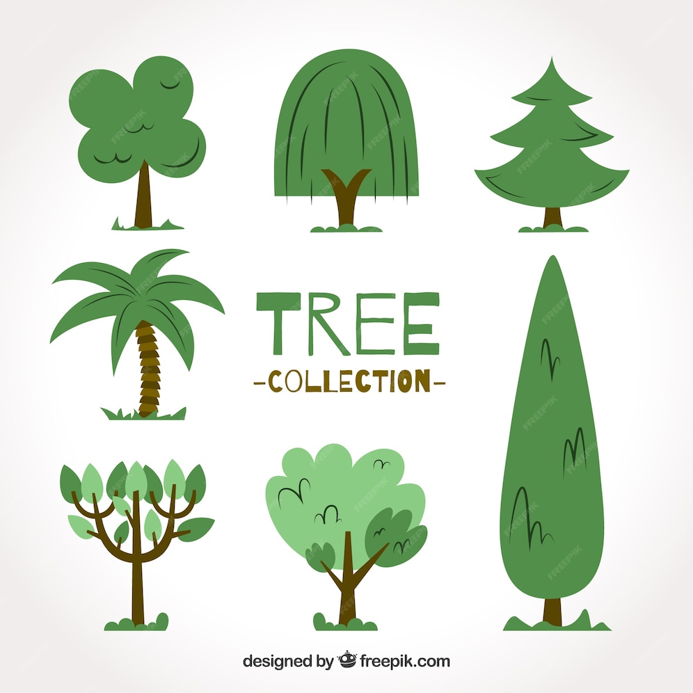 Free Vector | Trees collection in hand drawn style