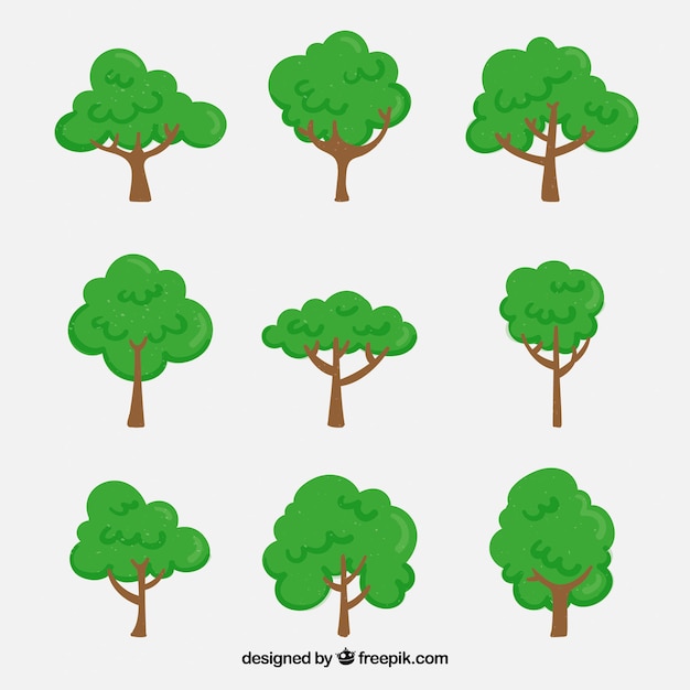 Trees collection in hand drawn style Free Vector Trees collection in hand drawn style Free Vector