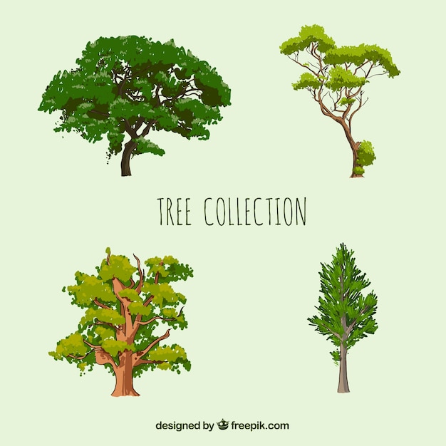 Trees collection in realistic style