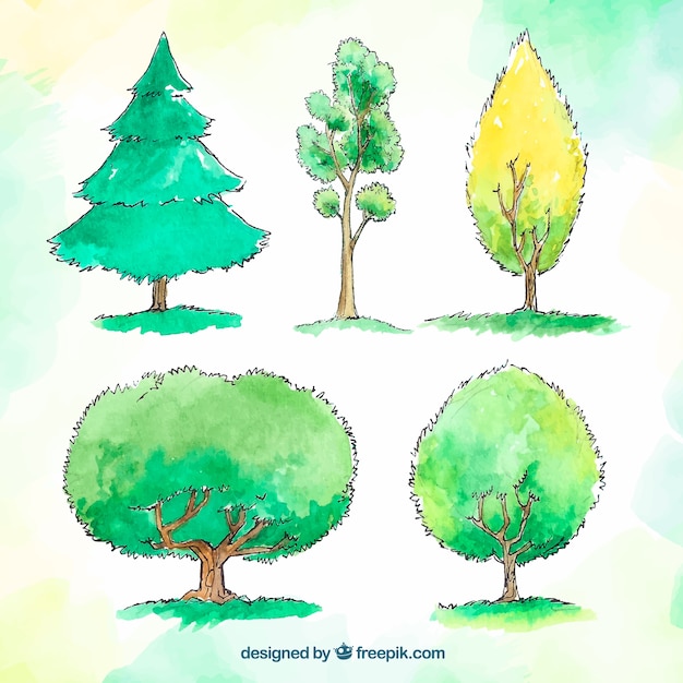 Free Vector | Trees collection in watercolor style