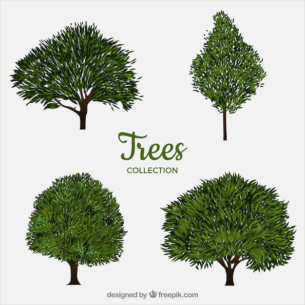 Trees collection with realistic style | Free Vector