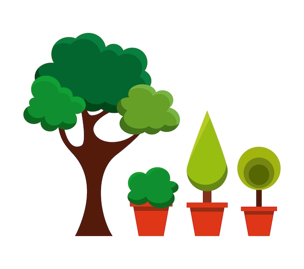 Trees For Pots - The Home Garden