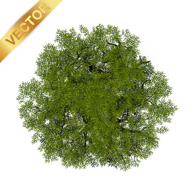 Premium Vector | Trees top view for landscape vector illustration.