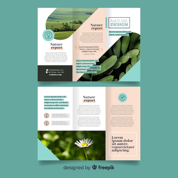 Trifold nature flyer with image | Free Vector