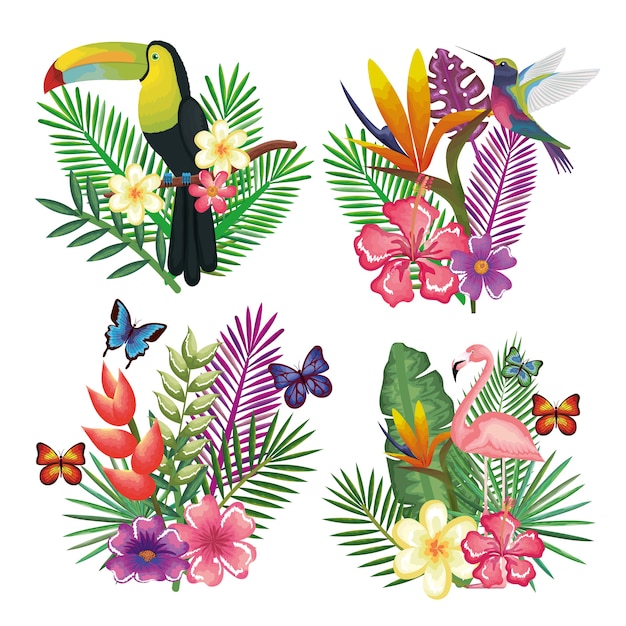 プレミアムベクター トロピカル エキゾチックな鳥 花の装飾ベクトルイラストデ ザイン