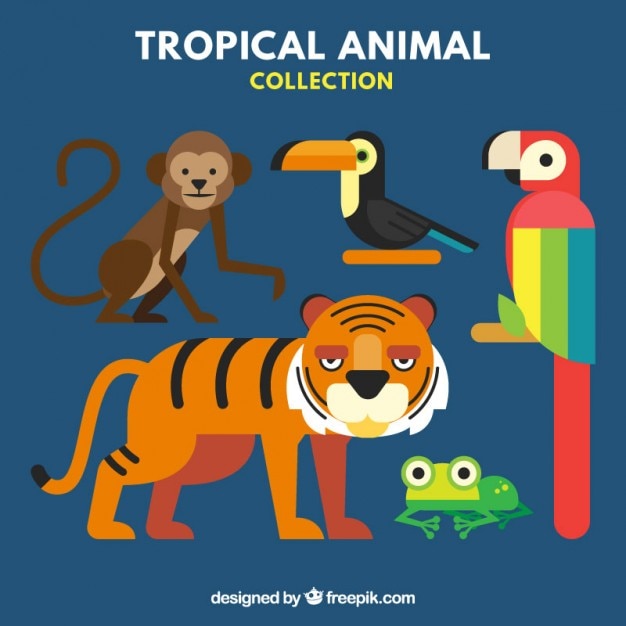Tropical animals collection