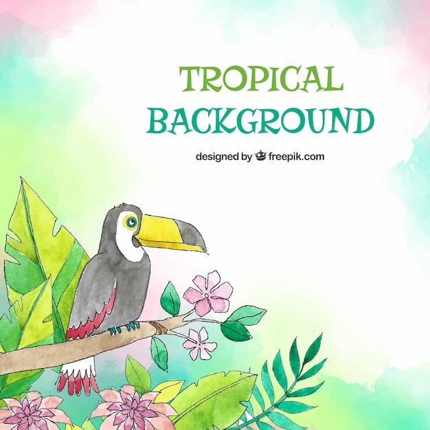 Tropical background with birds and leaves in\
watercolor style